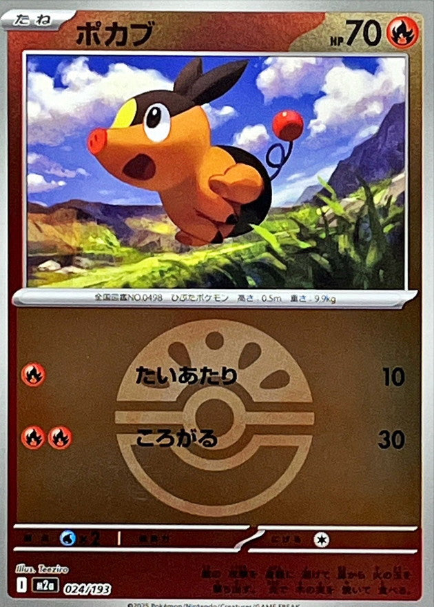 tepig pokemon card holographic [JP] Tepig (Friend Ball Pattern) (024/193)
