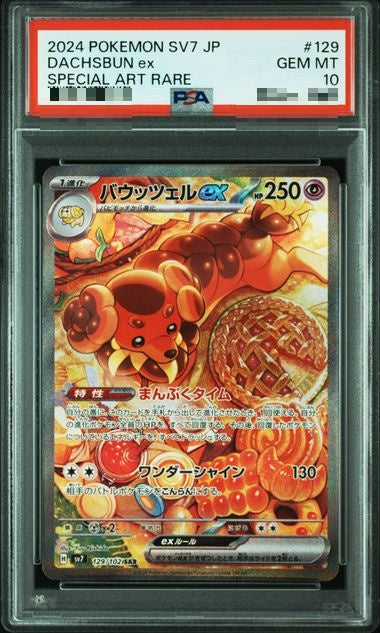 〔PSA10〕[SV7] Dachsbun ex 129/102〈SAR〉
