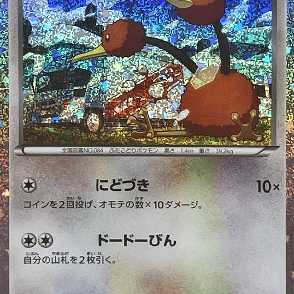 CLF] Doduo 013/032〈〉