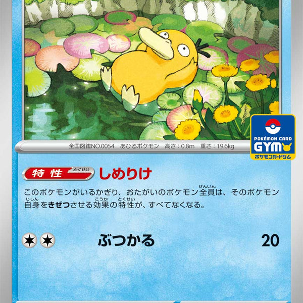psyduck pokemon card shiny Pokemon Shiny Psyduck and Psyduck Tag Team