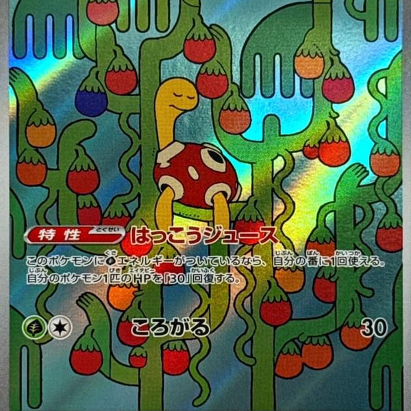 M1S] Shuckle 064/063〈AR〉