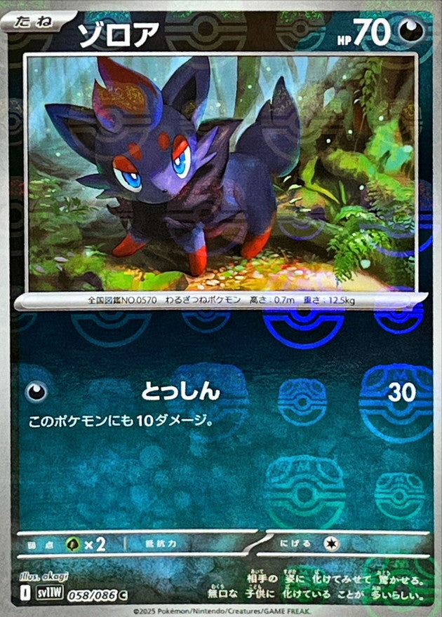 [SV11W] Zorua 058/086〈C〉Master Ball Reverse Holo
