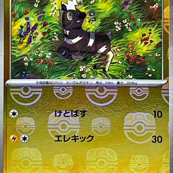 SV11Wmaster_48_600x600_crop_ce