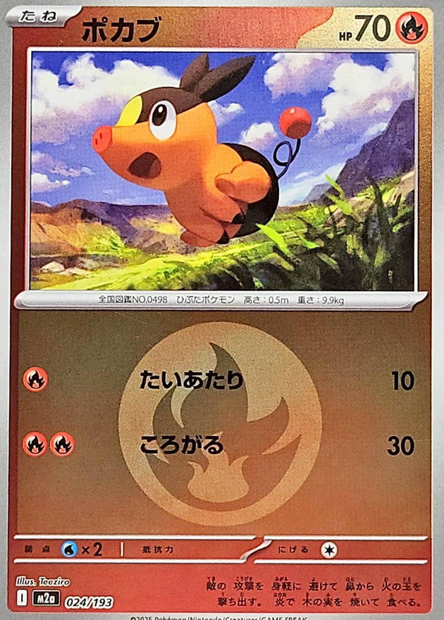 [M2a] Tepig 024/193〈〉Fire Energy Holo