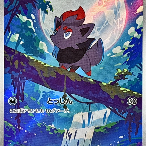 SV11W] Zorua 140/086〈AR〉