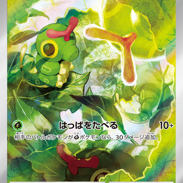caterpie pokemon card Pokemon X & Y Generations Common Caterpie #3