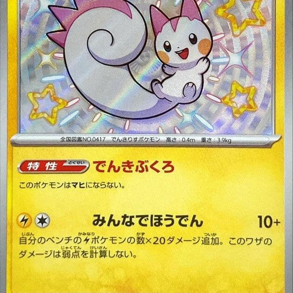 SV4a] Pachirisu 243/190〈S〉