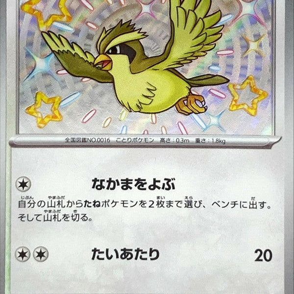 SV4a] Pidgey 304/190〈S〉 – Buy Online at Omotenashi TCG