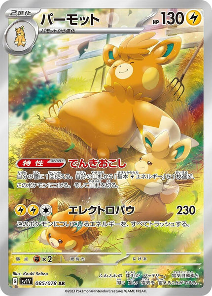 SV1V_AR_5_grande.jpg?v=1784798184